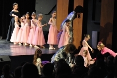 11-h-DSC_6544