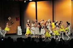 C03 DSC_7833