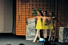 C04 DSC_8022