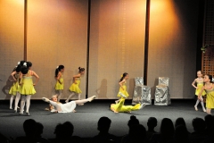 C13 DSC_8026