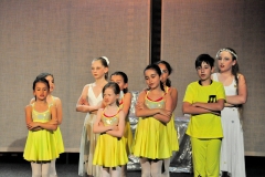 C33 DSC_7845